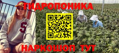 трава Ипатово