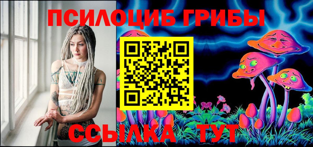 Псилоцибиновые грибы мицелий Кулебаки